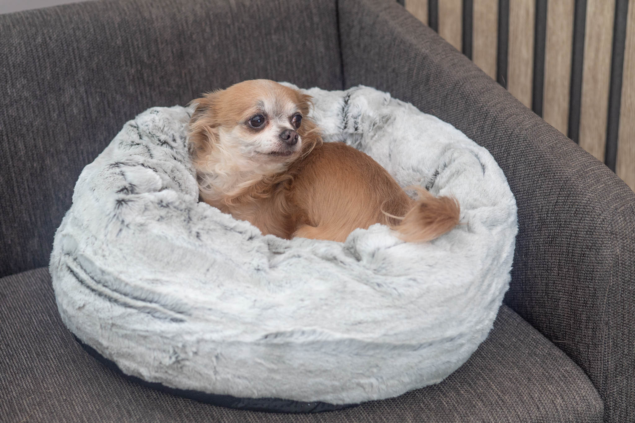 Jack & Vanilla ronde hondenmand Tibet