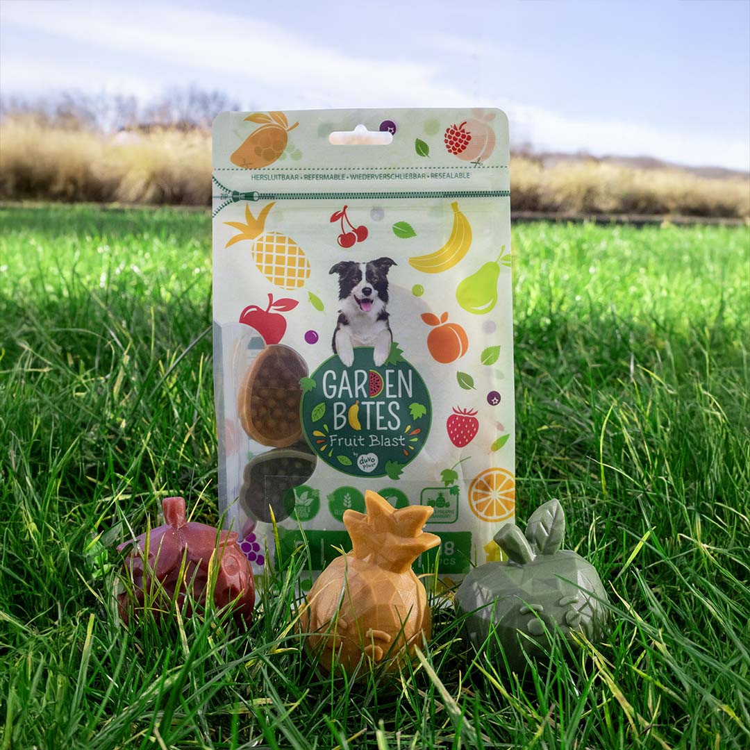 Garden Bites Fruity Buddies hondensnack