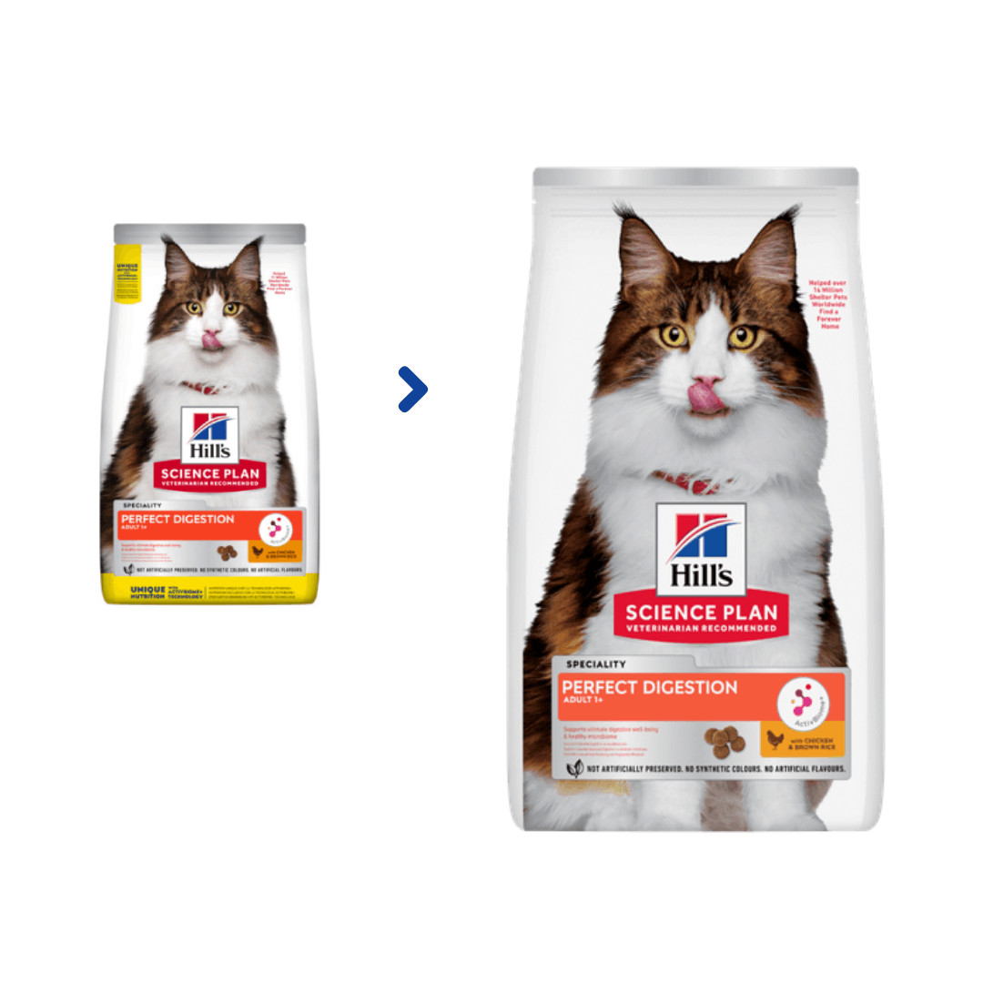 Hill's Adult Perfect Digestion kattenvoer