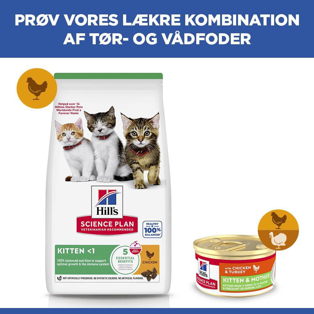 Hill's Kitten & Mother Tender Mousse nat kattenvoer met kip en kalkoen blik