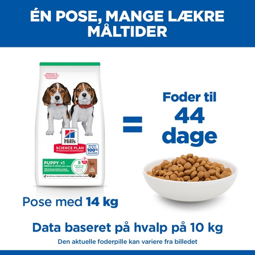 Hill's Puppy Healthy Development Lamm & Reis Hundefutter 