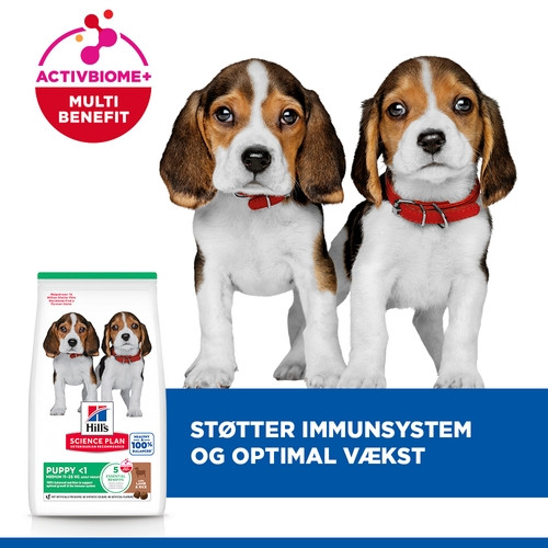 Hill's Puppy Healthy Development Lamm & Reis Hundefutter 