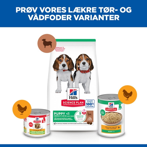 Hill's Puppy Healthy Development Lamm & Reis Hundefutter 