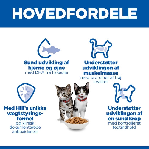 Hill's Kitten Sterilised con pollo per gatto