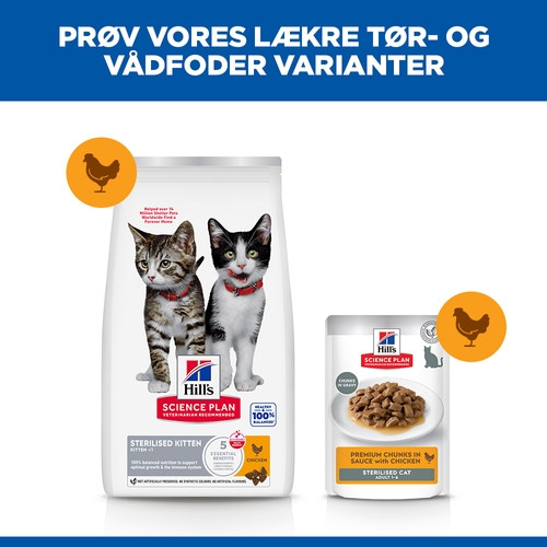 Hill's Kitten Sterilised con pollo per gatto