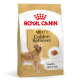 Royal Canin Adult Golden Retriever hundefoder
