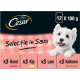 Cesar Adult Selection i sauce multipack vådfoder til hunde poser (100 g)