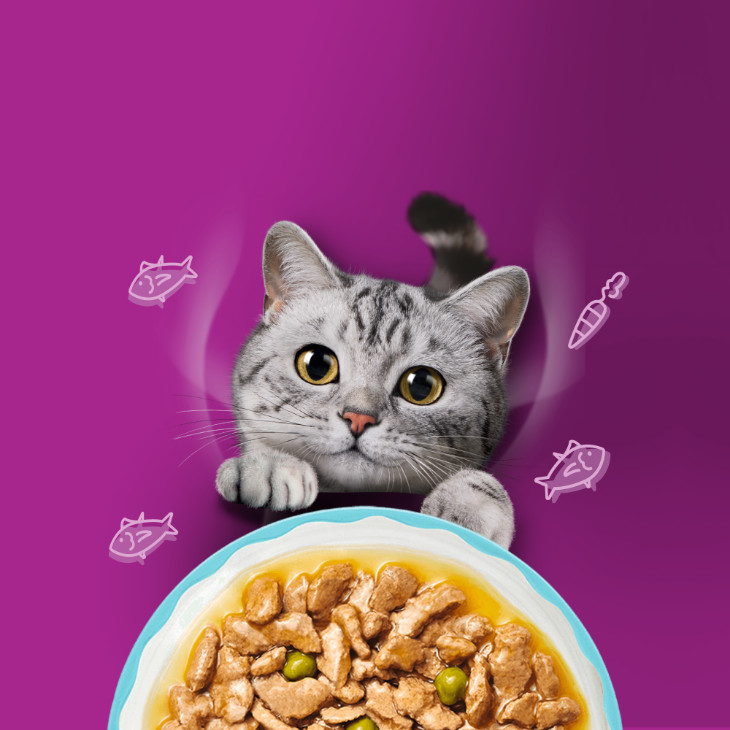 Whiskas 1+ Aromatic Zalige Zeevruchten in saus natvoer kat multipack (zakjes 85 g)