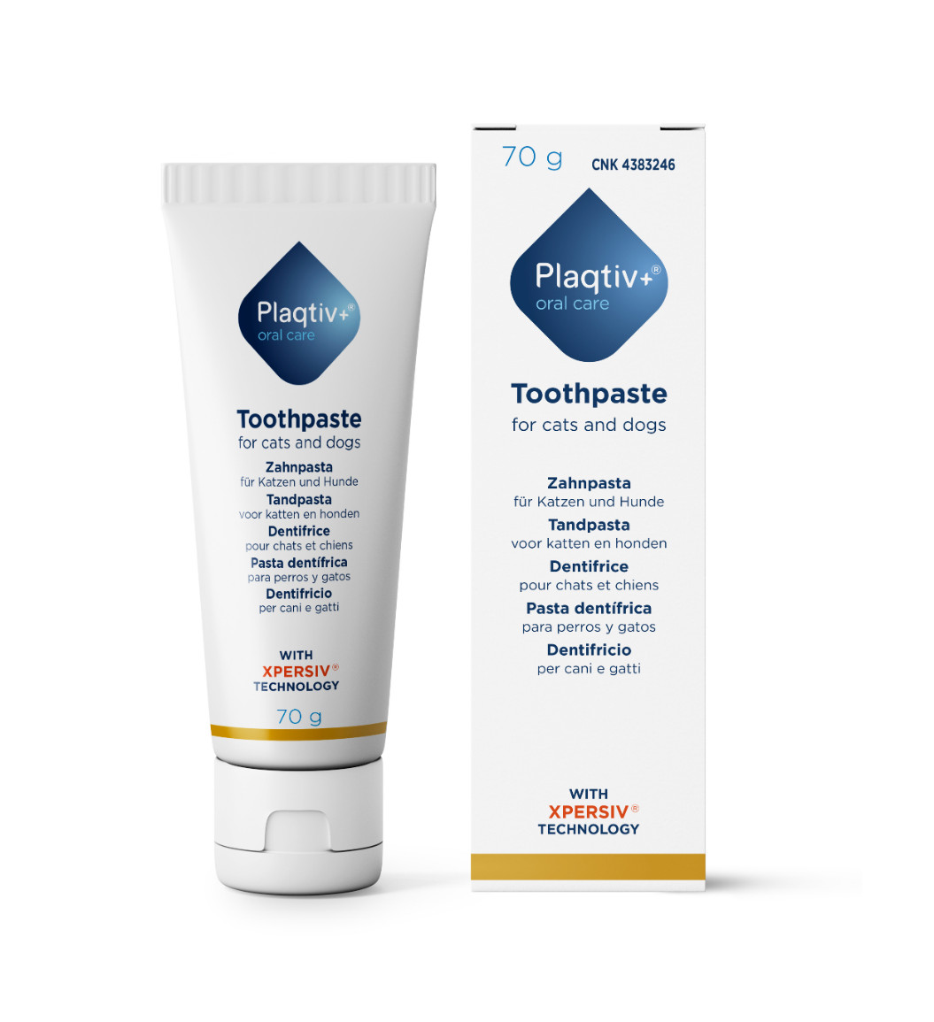 Plaqtiv+ Oral Care tandpasta voor hond en kat