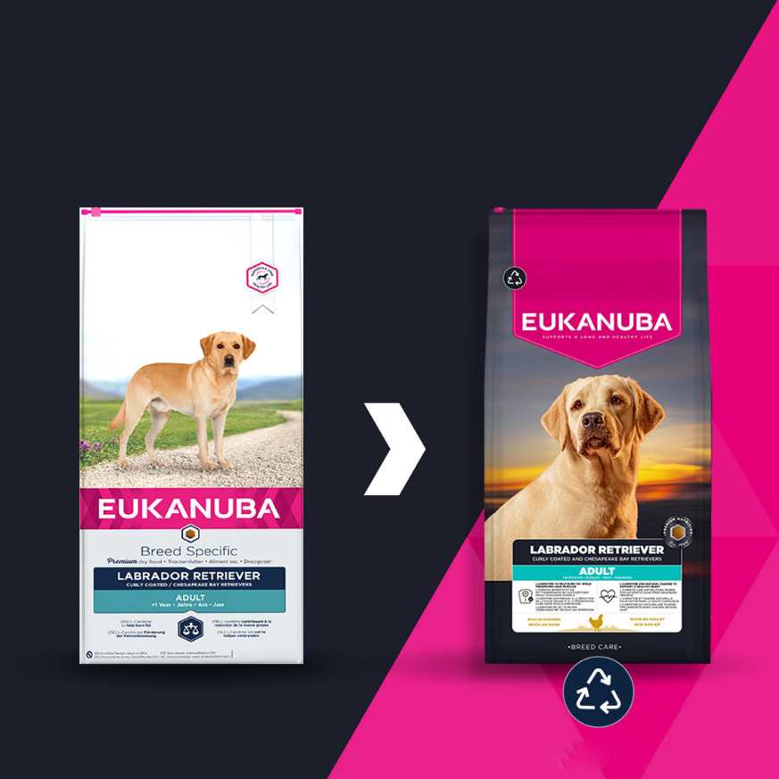 Eukanuba Labrador Retriever hundefoder