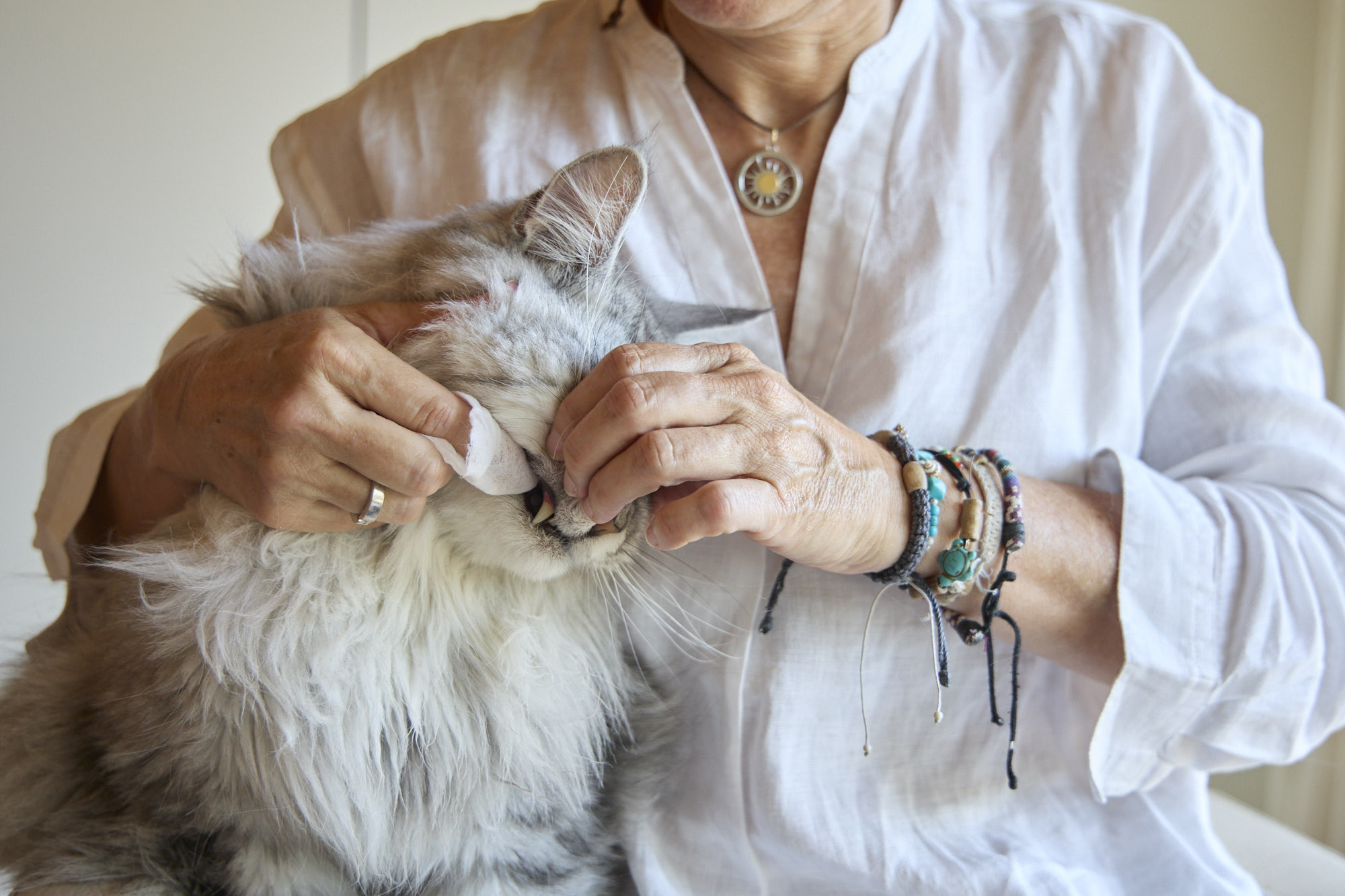 Plaqtiv+ Dental Wipes tandverzorging voor hond en kat