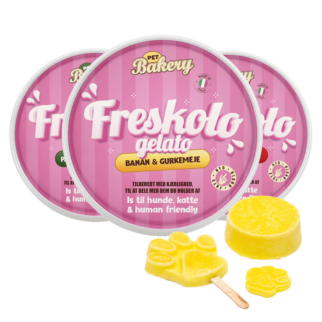 Pet Bakery Freskolo gelato - ijs voor honden en katten