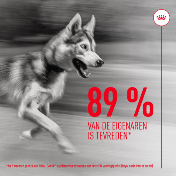 Royal Canin Joint & Ageing Chews voedingssupplement hond