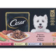 Cesar Adult Selection i sauce multipack vådfoder til hunde poser (100 g)