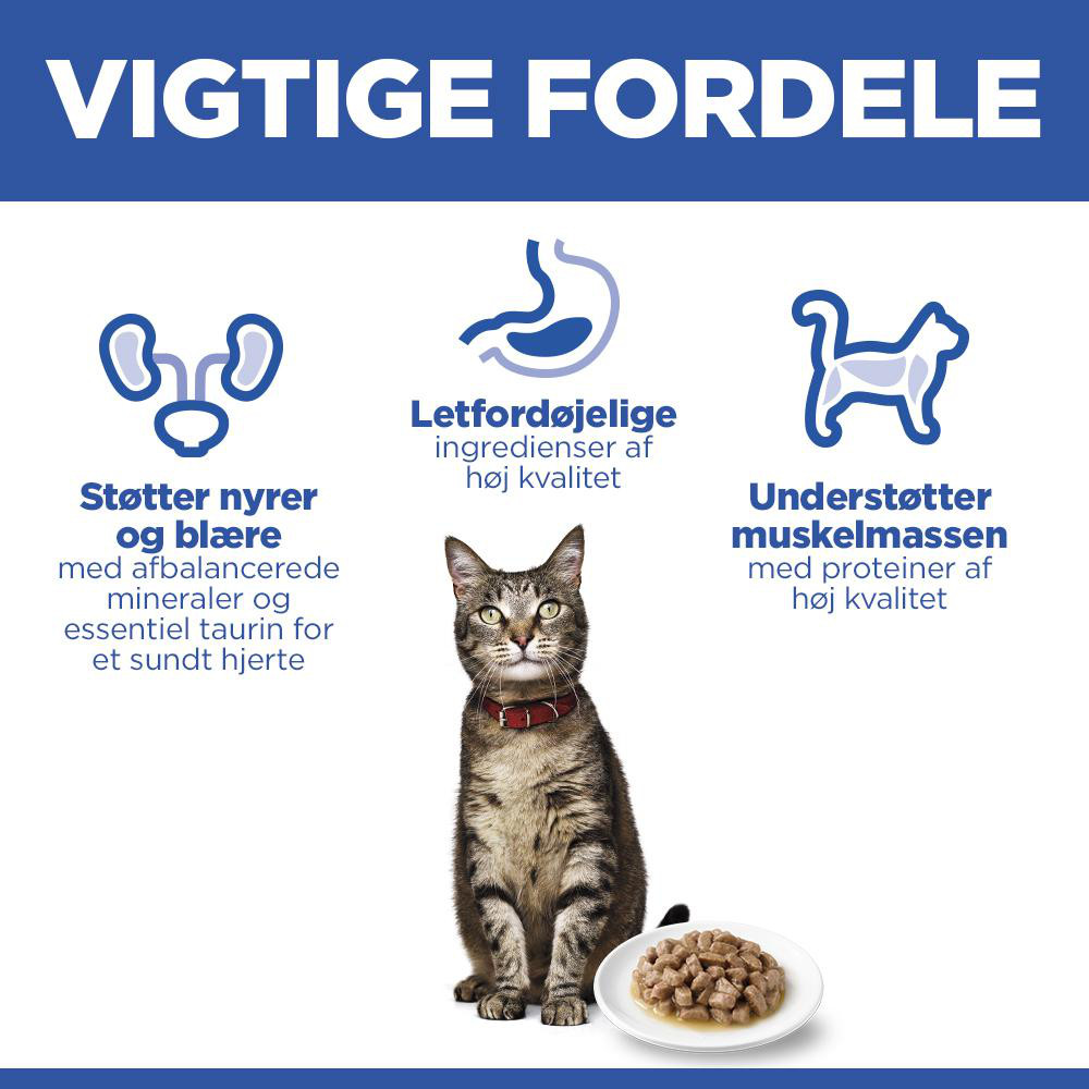 Hill's Mature Adult 7+ nat hondenvoer met rund blik