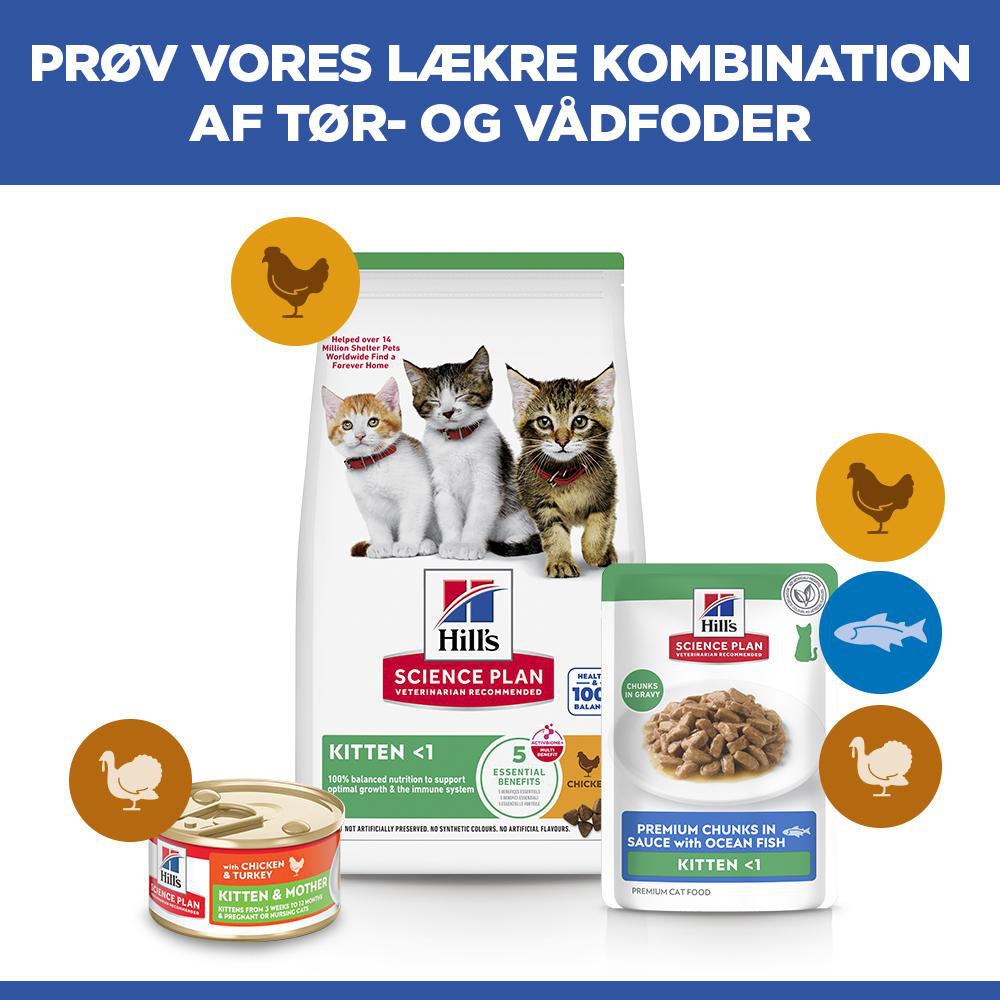 Hill's Kitten nat kattenvoer met zeevis maaltijdzakje multipack