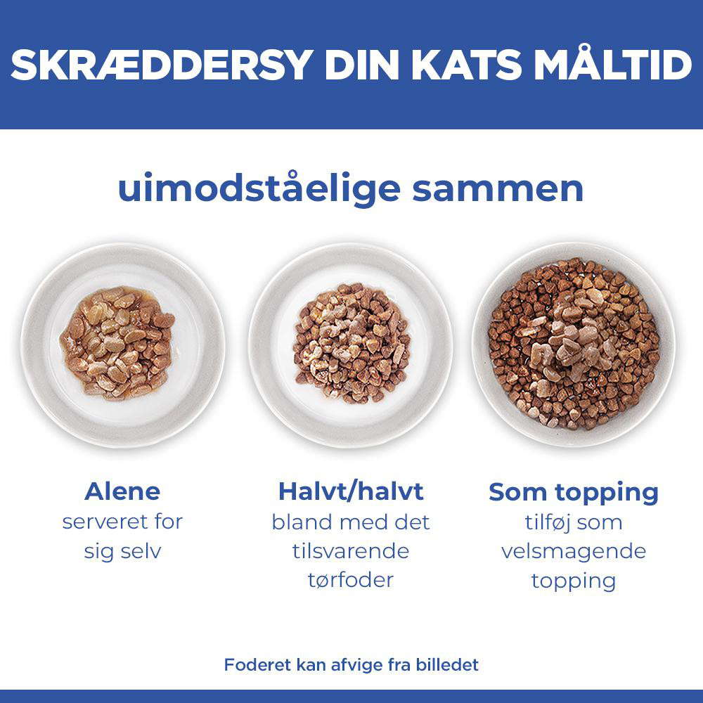 Hill's Kitten nat kattenvoer met zeevis maaltijdzakje multipack