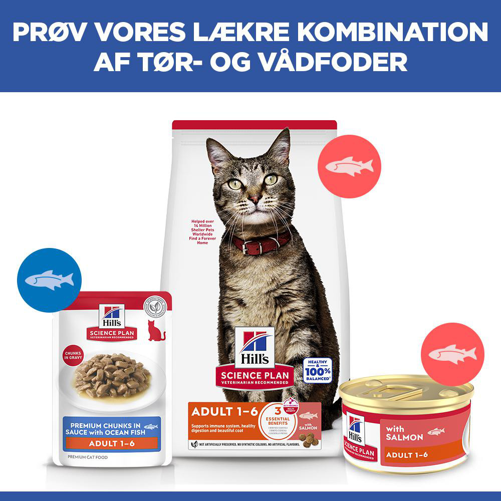 Hill's Adult vådfoder til katte med laks (mousse, dåse)