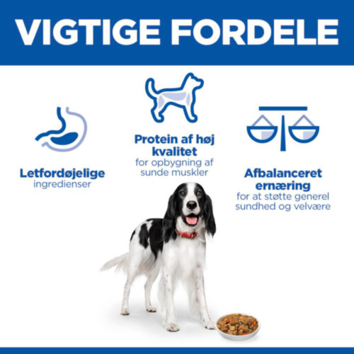 Hill's Adult vådfoder til katte med kylling & grøntsager (stew, dåse)