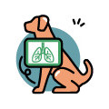 Luftveje og lunger hund