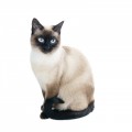 Siamese Kattefoder